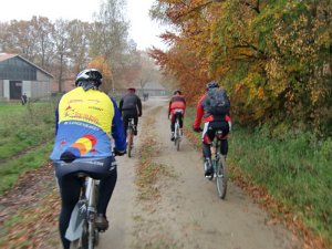 Wilseder Berg 1 2010 016